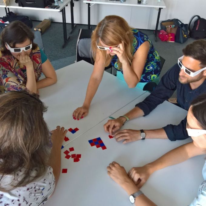 Mosaic Diversity Activity